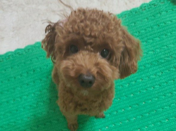 kim+ 프로필