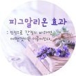 기적실현성공