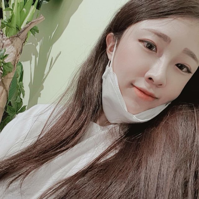 나무찌 프로필