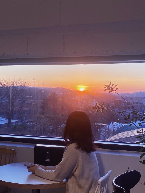 메이나인 프로필