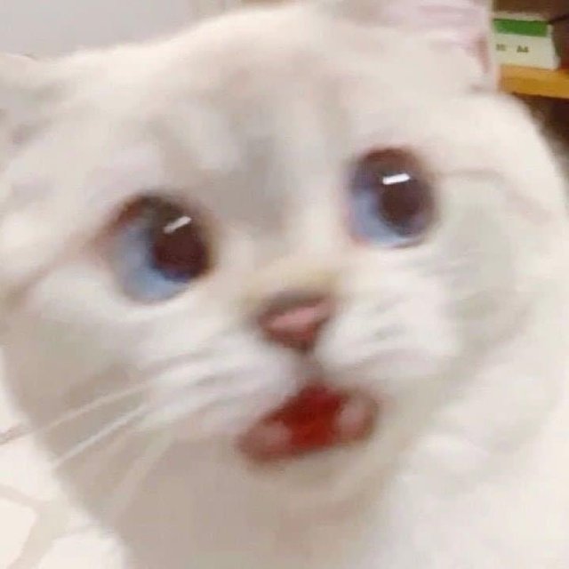 내꿈은월급루팡 프로필