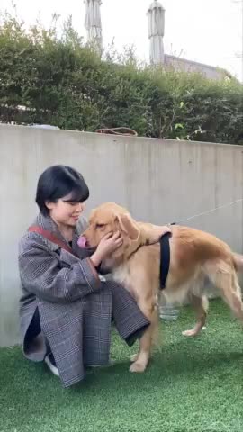 심쿵이이모 프로필