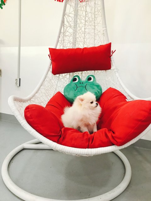 모뚱이 프로필