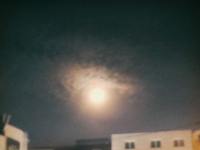 글로리#tWFQJ_ 프로필