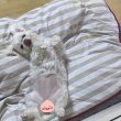 글로리#t_aawx 프로필
