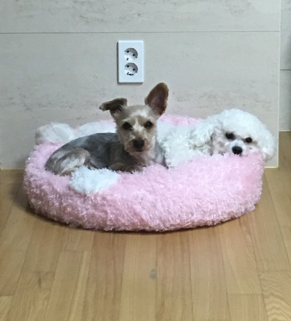 리뷰어 프로필