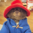 스킨푸드명예소방관