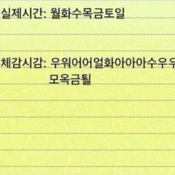 Repeaio 프로필