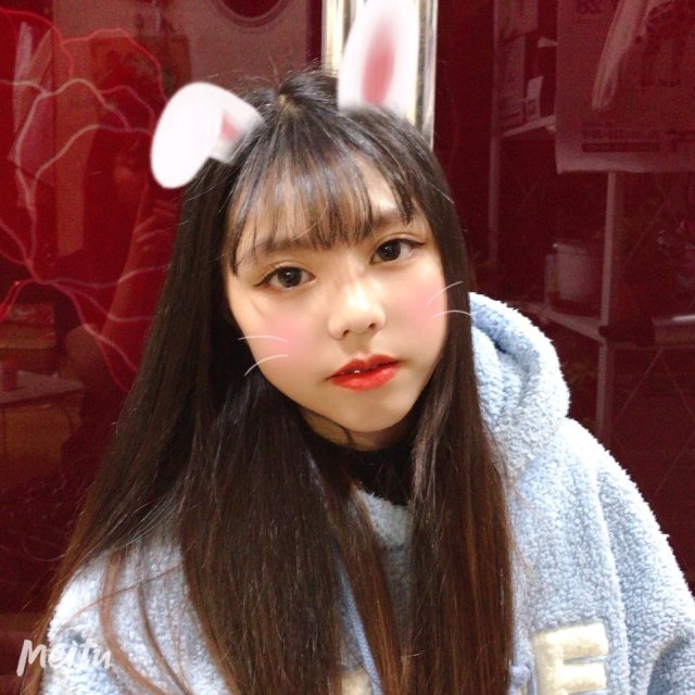 미어켓 프로필