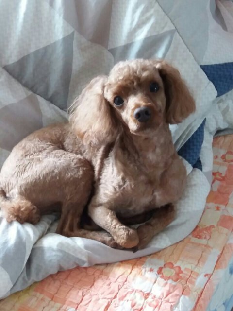 글로리#vQNIHa 프로필
