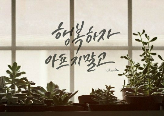 띠띠M 프로필