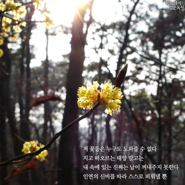 글로리#AFraOu 프로필