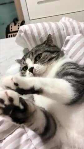 리뷰어 프로필