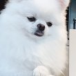 끀끀끀 프로필