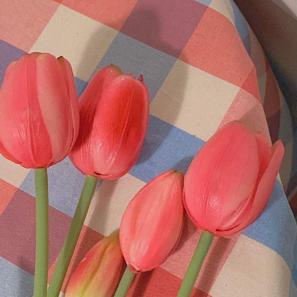 프로코스메틱 프로필