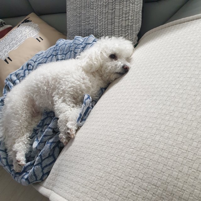 리뷰어 프로필
