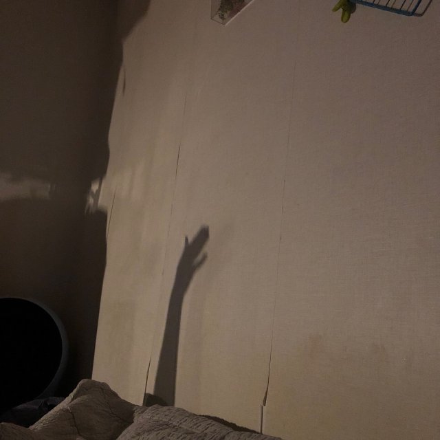 H0BwIU 프로필