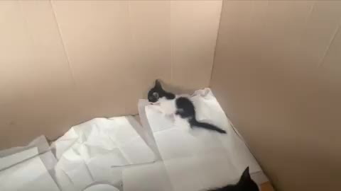 뷰코_0718 프로필