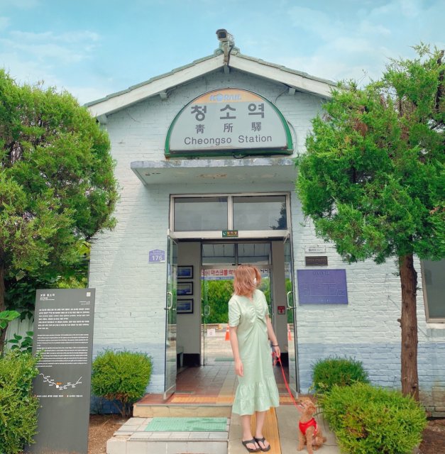 호두가쵝오야 프로필
