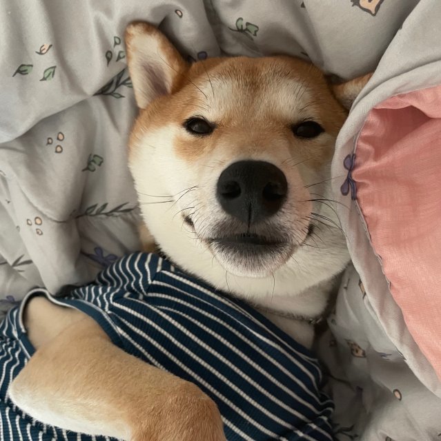 리뷰어 프로필