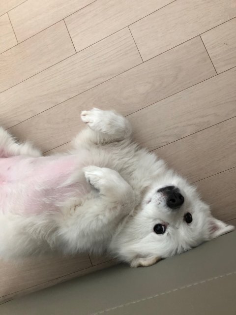 글로리#JxmfYq 프로필