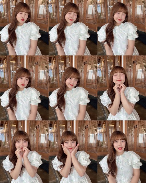 다메는웜웜 프로필