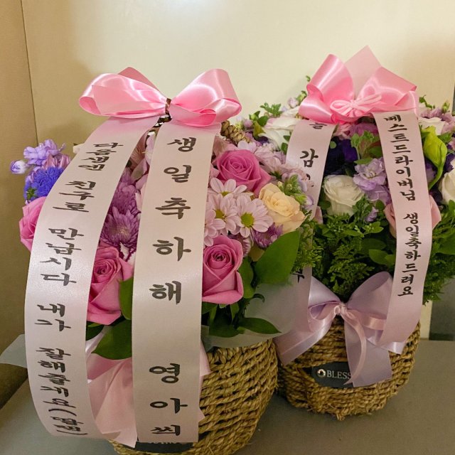 샨챠이 프로필
