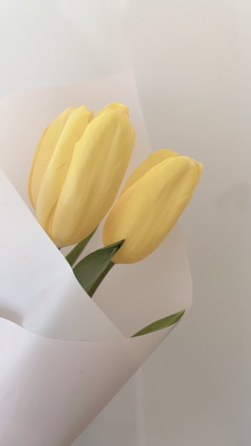 클로이랑 프로필