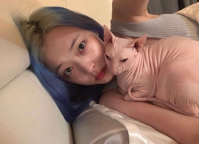 리뷰어 프로필