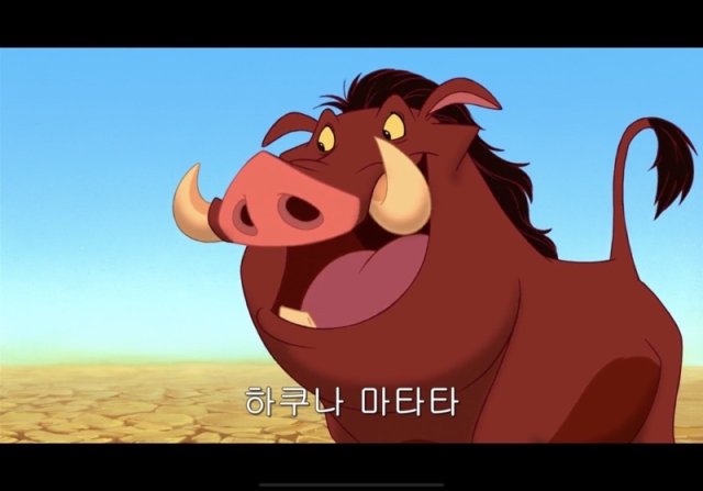 글로리#RAroUS 프로필