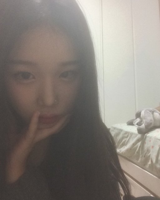 강부들 프로필