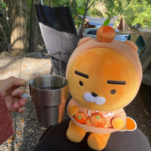 리뷰어 프로필