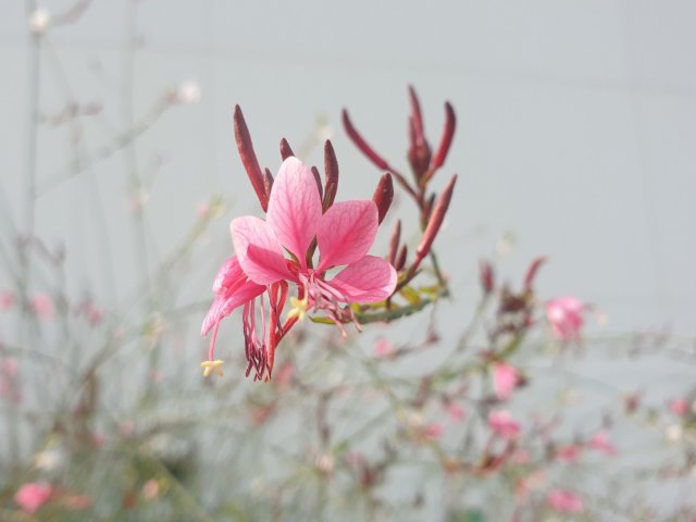 리뷰어 프로필