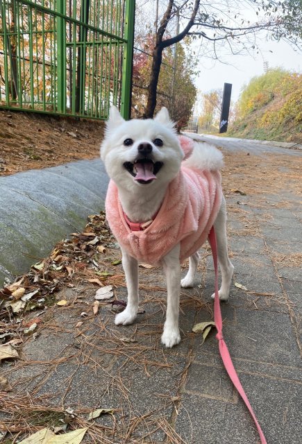 리뷰어 프로필
