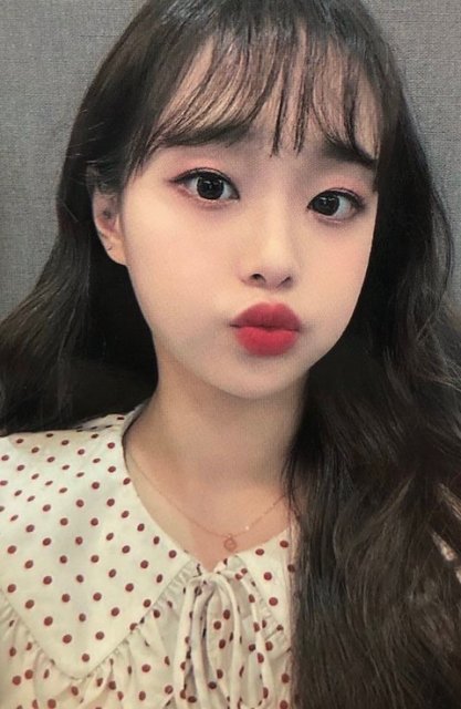 밍초리 프로필