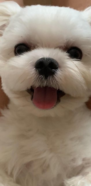 볼의 프로필