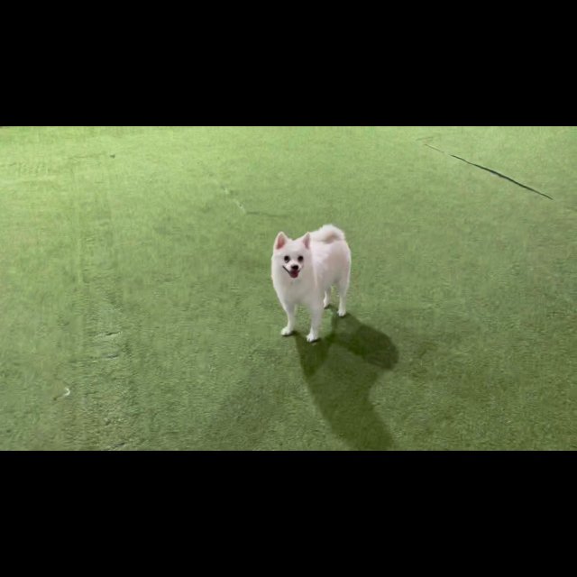 로리로리라라 프로필