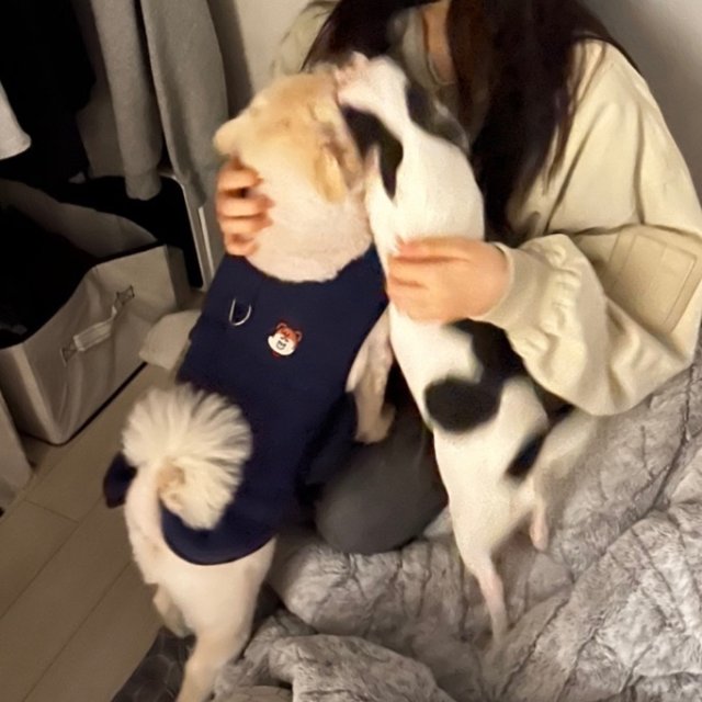 규헌 프로필