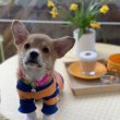 qhrua96 프로필