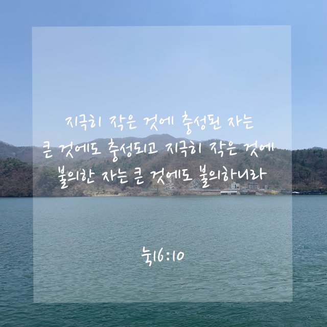 달찬 프로필