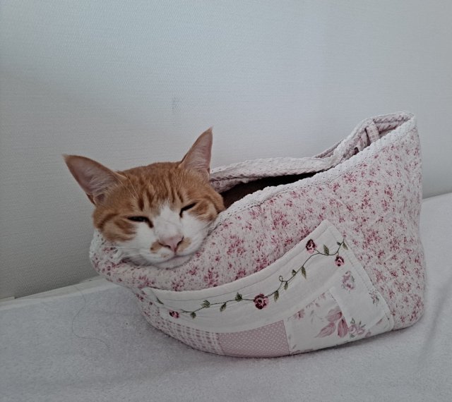연지쓰 프로필