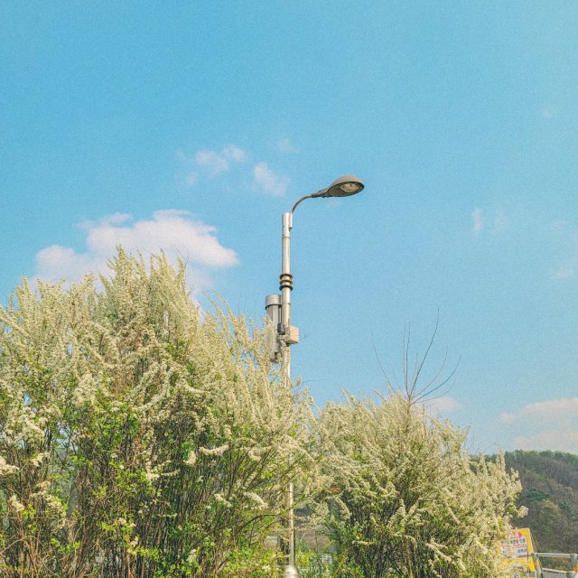 리랩 프로필