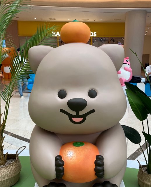 초코베어 프로필