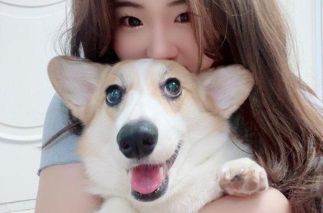 고라구니 프로필