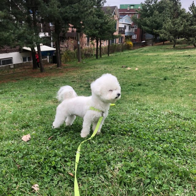 소다마미 프로필