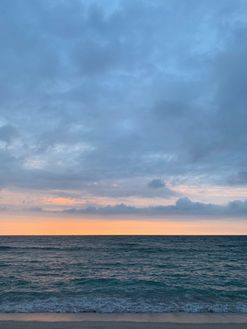 라리리라 프로필