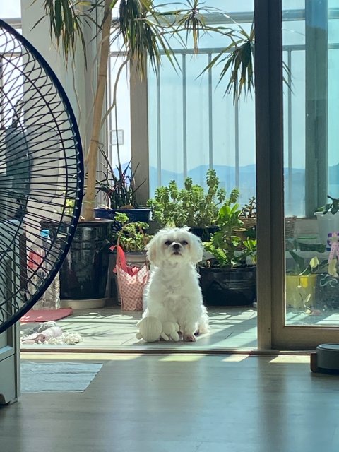 뚜부누냐 프로필