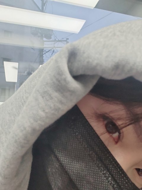 갱스터jk 프로필