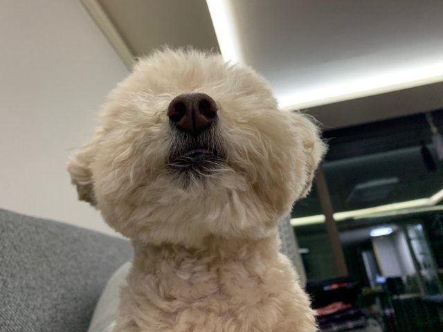 글로리#9Yx4jv 프로필