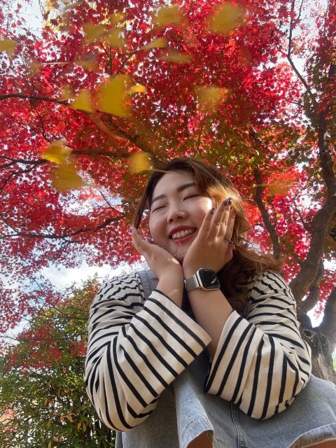 신피치 프로필
